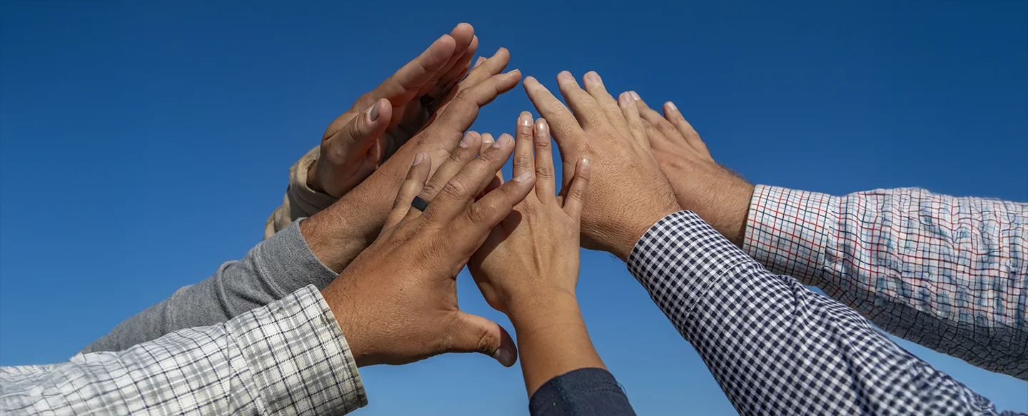 Multiple hands of different sizes, shapes and ethnicities reaching out to join each other as a symbol of solidarity