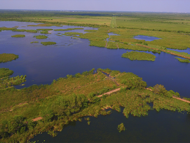 Aerial view of a vast wetland landscape with patches of green vegetation and winding waterways under a clear blue sky.