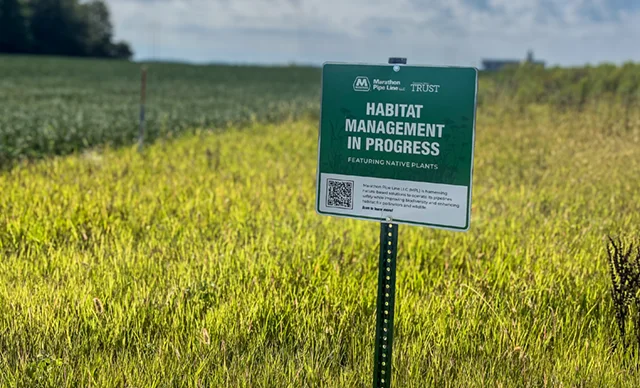 A green Marathon Pipe Line sign reading, "Habitat Management in Progress," standing in front of a lush green field of tall grass