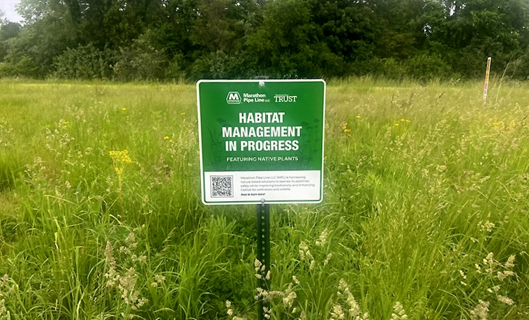 A green Marathon "Habitat Management n Progress" standing in tall grass with a forest behind it