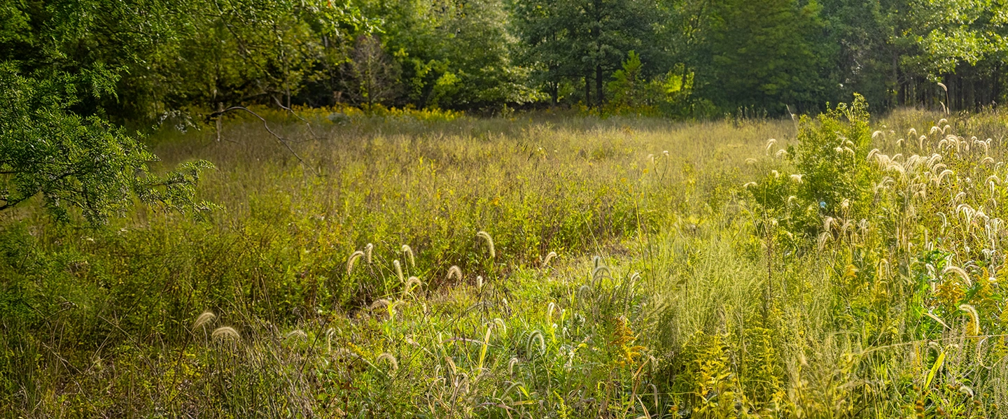 MPL's Kendal Bruner standing next to a pipeline marker in a field of vegetation, smiling